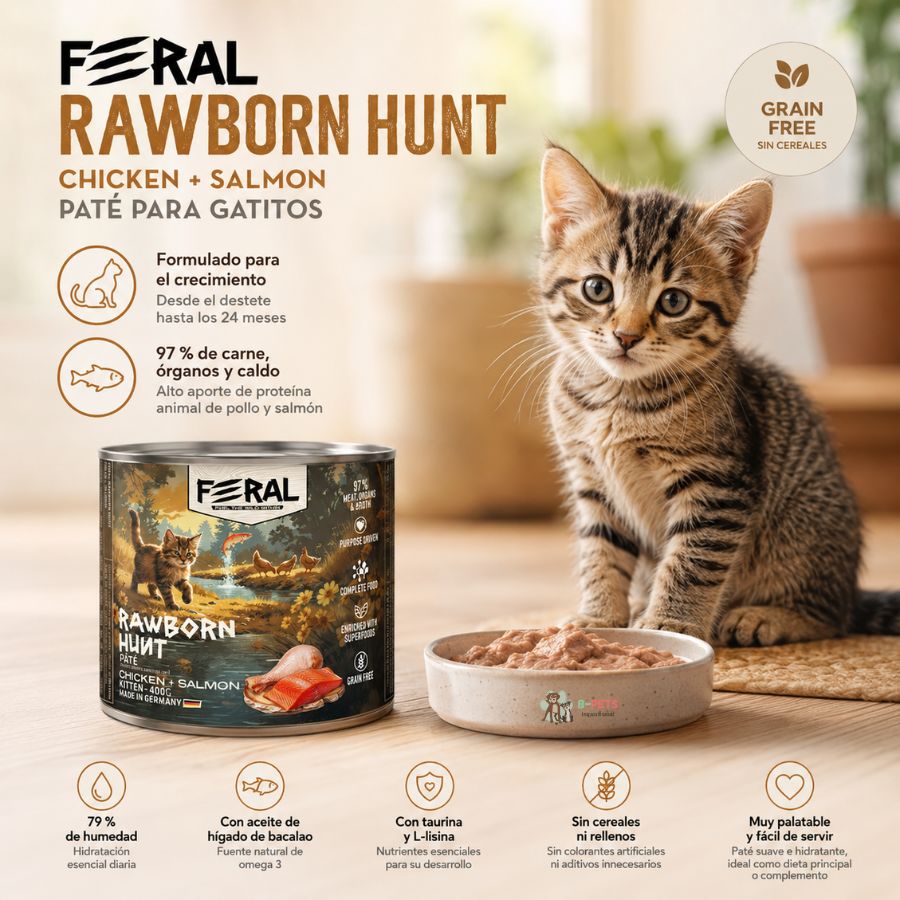 Feral Rawborn Hunt 400 g junto a un gatito y su plato: 97 % de carne, sin cereales, con taurina y L-lisina