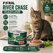 Feral River Chase 200 g junto a un gato atigrado: 97 % de carne, 78 % de humedad y 99 kcal