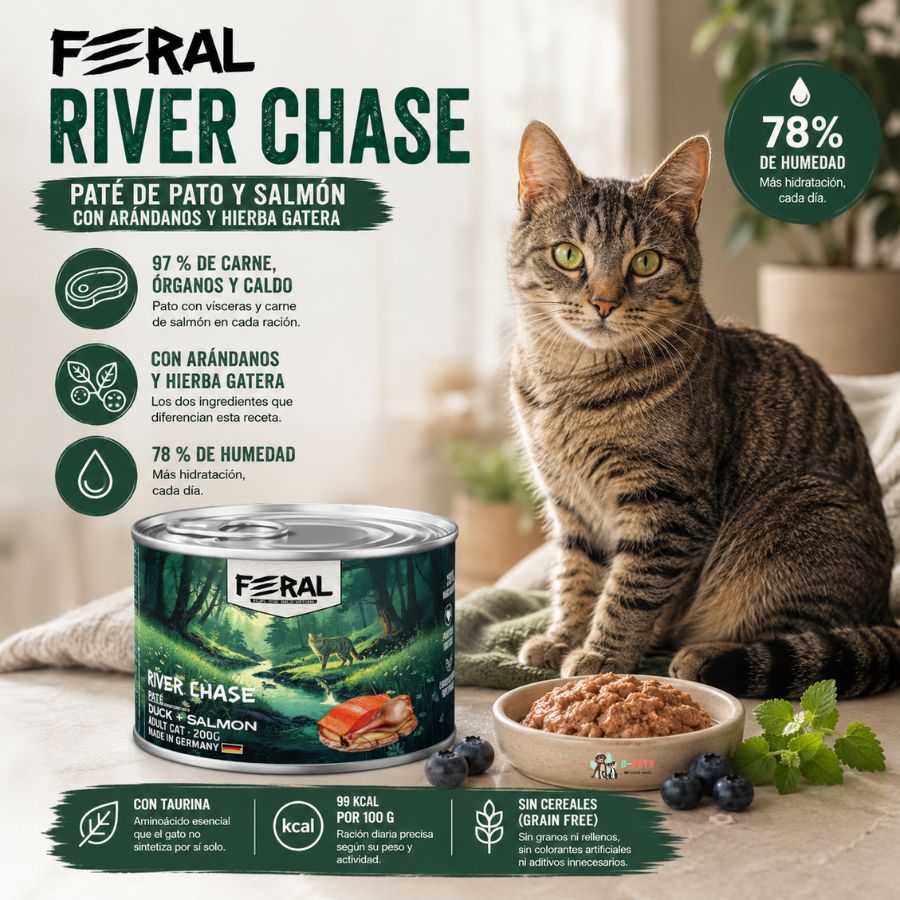 Feral River Chase 200 g junto a un gato atigrado: 97 % de carne, 78 % de humedad y 99 kcal