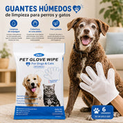 Perro junto al guante húmedo de limpieza puesto en la mano y beneficios: sin enjuague y cobertura en una sesión