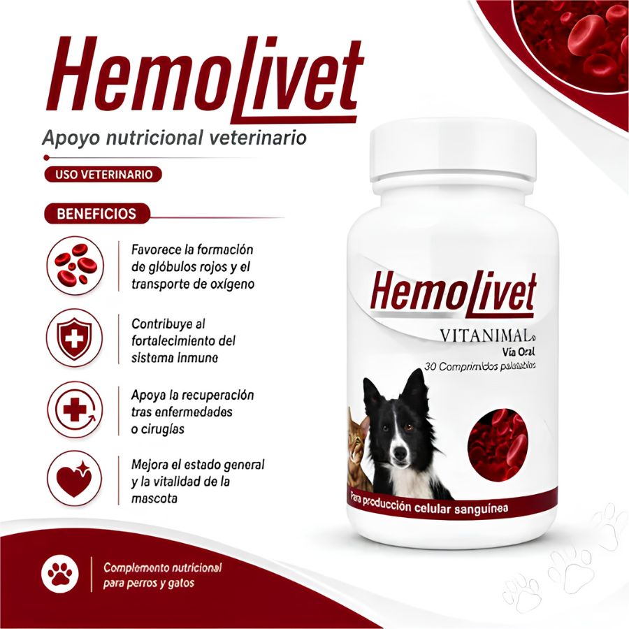 Beneficios de la línea Hemolivet Vitanimal: glóbulos rojos, transporte de oxígeno y apoyo en la convalecencia de perros y gatos