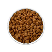 Plato blanco lleno de croquetas doradas de c/d Multicare Stress, con forma de disco plano para gatos adultos