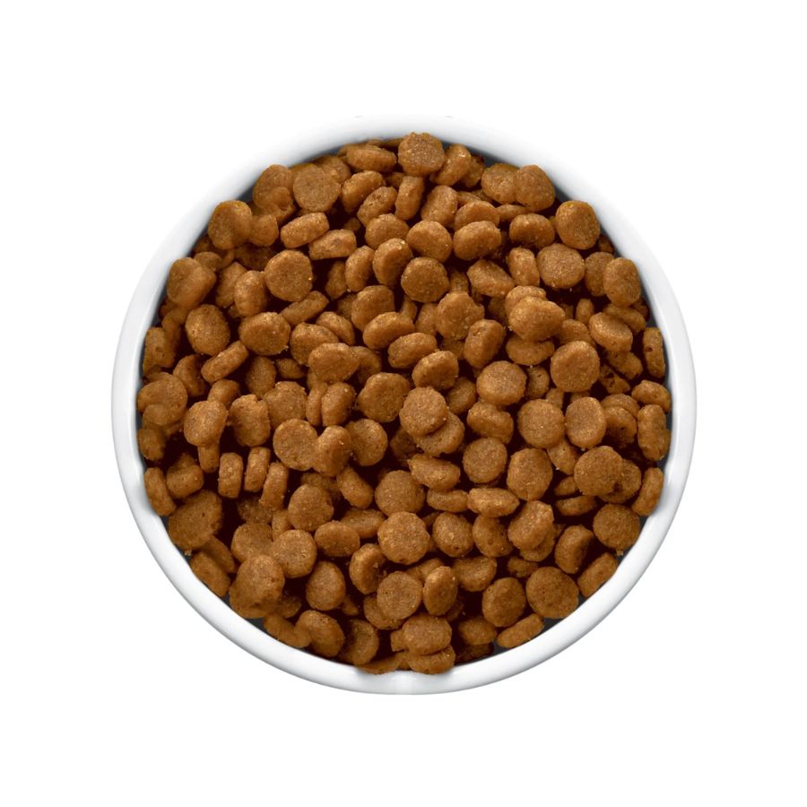 Plato blanco lleno de croquetas doradas de c/d Multicare Stress, con forma de disco plano para gatos adultos