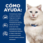 Infografía de Hill's sobre cómo ayuda la fórmula c/d Multicare Stress en el cuidado urinario del gato adulto