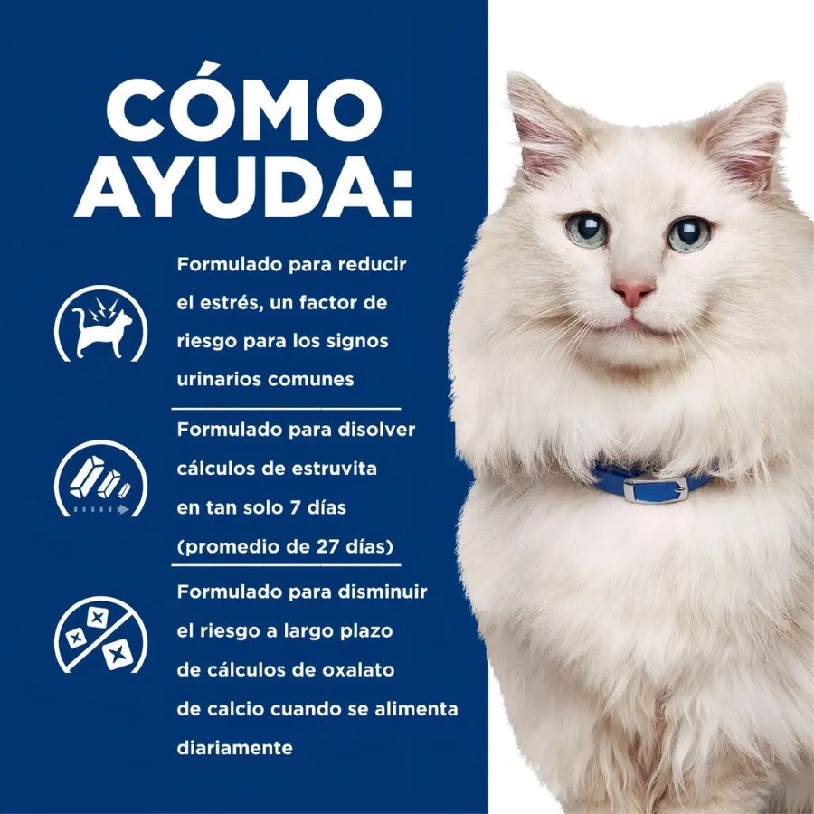 Infografía de Hill's sobre cómo ayuda la fórmula c/d Multicare Stress en el cuidado urinario del gato adulto