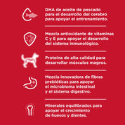 Hills Diet Small & Mini Puppy 2Kg alimento para cachorros mini, con pollo, omega y nutrientes para crecer fuerte y sano.