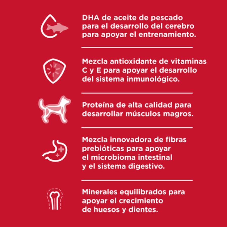 Hills Diet Small & Mini Puppy 2Kg alimento para cachorros mini, con pollo, omega y nutrientes para crecer fuerte y sano.