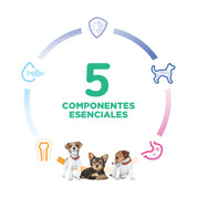 Hills Diet Small & Mini Puppy 2Kg alimento para cachorros mini, con pollo, omega y nutrientes para crecer fuerte y sano.