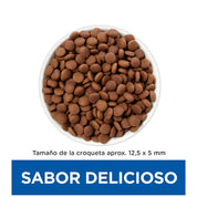 Croquetas redondas y planas de Hills Gastrointestinal Biome en un plato, de 12,5 x 5 milímetros