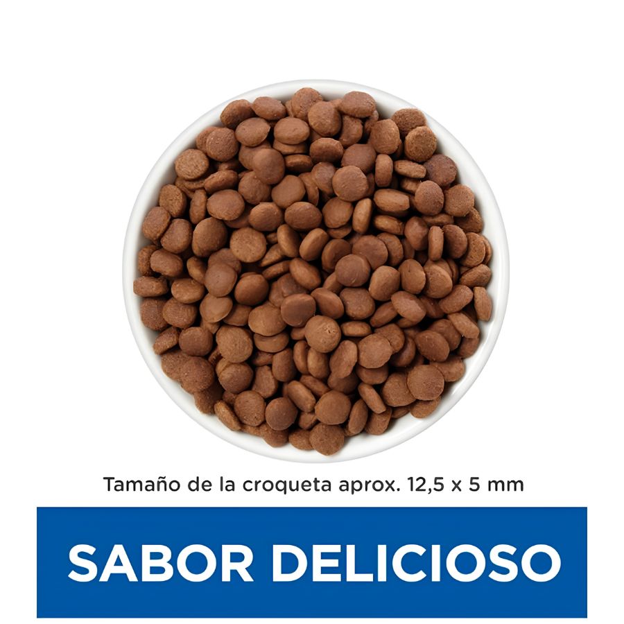 Croquetas redondas y planas de Hills Gastrointestinal Biome en un plato, de 12,5 x 5 milímetros