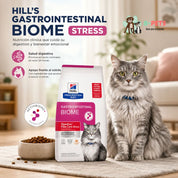 Beneficios de Hills Gastrointestinal Biome Stress: salud digestiva y apoyo frente al estrés en gatos