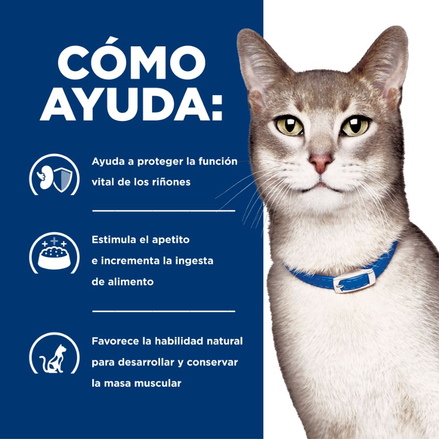 Hills K/D Gato Kidney Care 3,8 kg alimento renal con fósforo y sodio controlados, proteínas de calidad y omega-3.