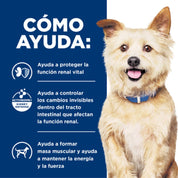 Cómo ayuda Hills K/D Perro Kidney Care: función renal vital, cambios en el tracto intestinal y masa muscular