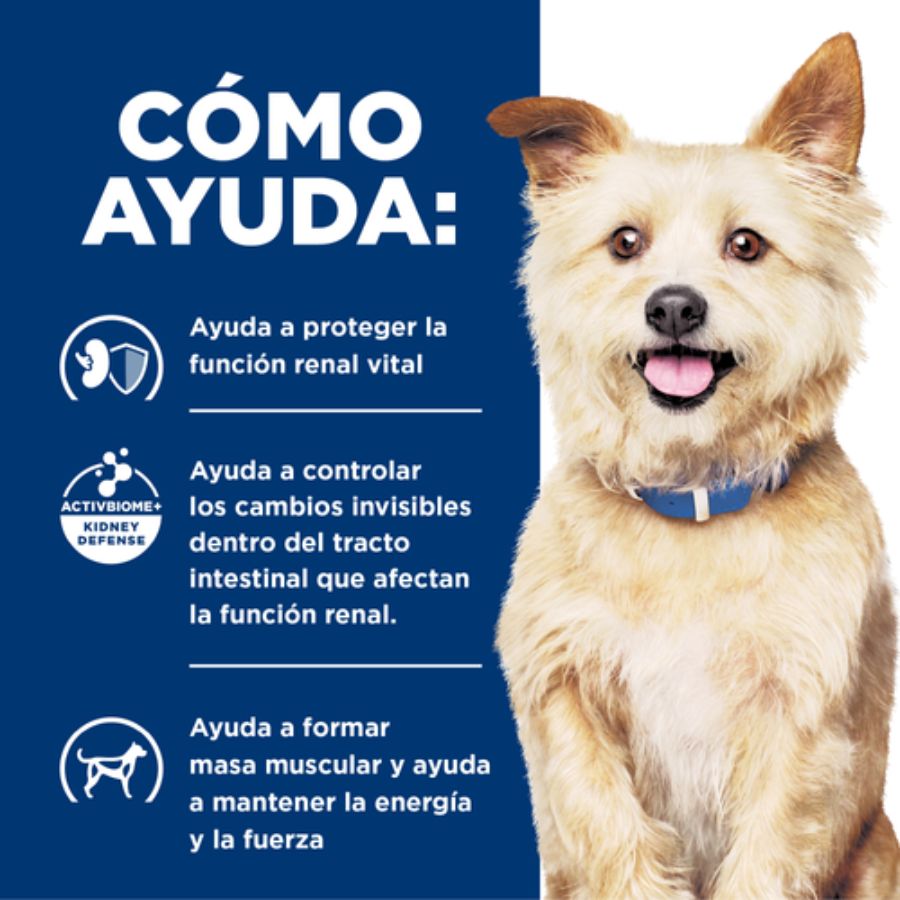 Cómo ayuda Hills K/D Perro Kidney Care: función renal vital, cambios en el tracto intestinal y masa muscular