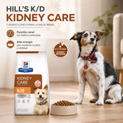 Perro adulto sentado junto a la bolsa de Hills K/D Perro Kidney Care y un plato con croquetas en el living