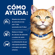 Hills Lata c/d Urinary Care 156GR para Gatos, alimento húmedo clínico con pollo que apoya la salud urinaria y reduce el riesgo de cálculos.