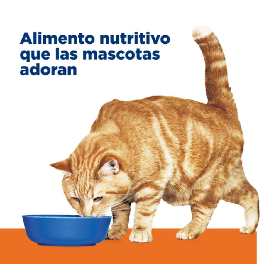 Hills Lata c/d Urinary Care 156GR para Gatos, alimento húmedo clínico con pollo que apoya la salud urinaria y reduce el riesgo de cálculos.