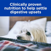 Hills Lata i/d Digestive Care 370GR para Perros, alimento húmedo digestivo con pavo, alta digestibilidad y apoyo clínico intestinal.