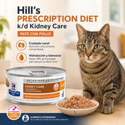 Lata de k/d Kidney Care junto a un plato con el paté servido y un gato atigrado en primer plano