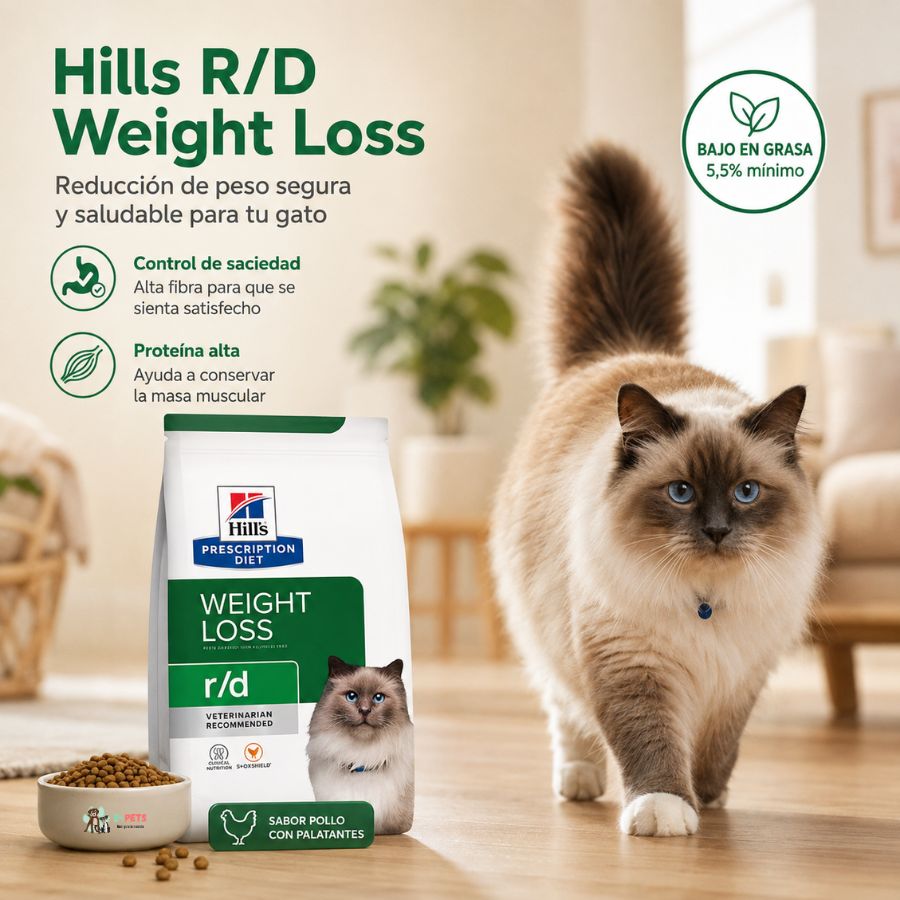 Gato caminando junto a la bolsa de Hills R/D Weight Loss, con control de saciedad y proteína alta