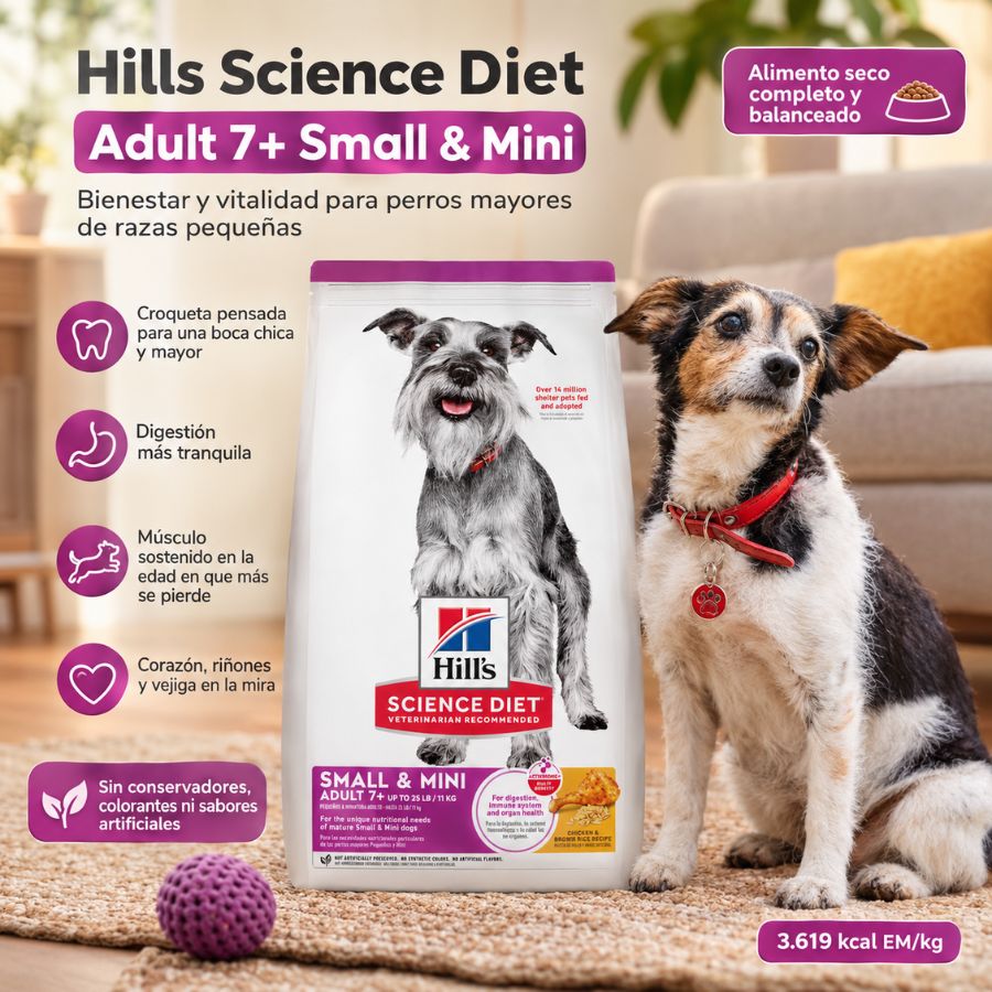 Perro mayor de raza pequeña junto a la bolsa de Hills Science Diet Adult 7+ Small & Mini y sus beneficios