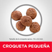 Croquetas pequeñas de Hills Science Diet Adult 7+ Small & Mini en primer plano, de 7,5 x 4,5 milímetros