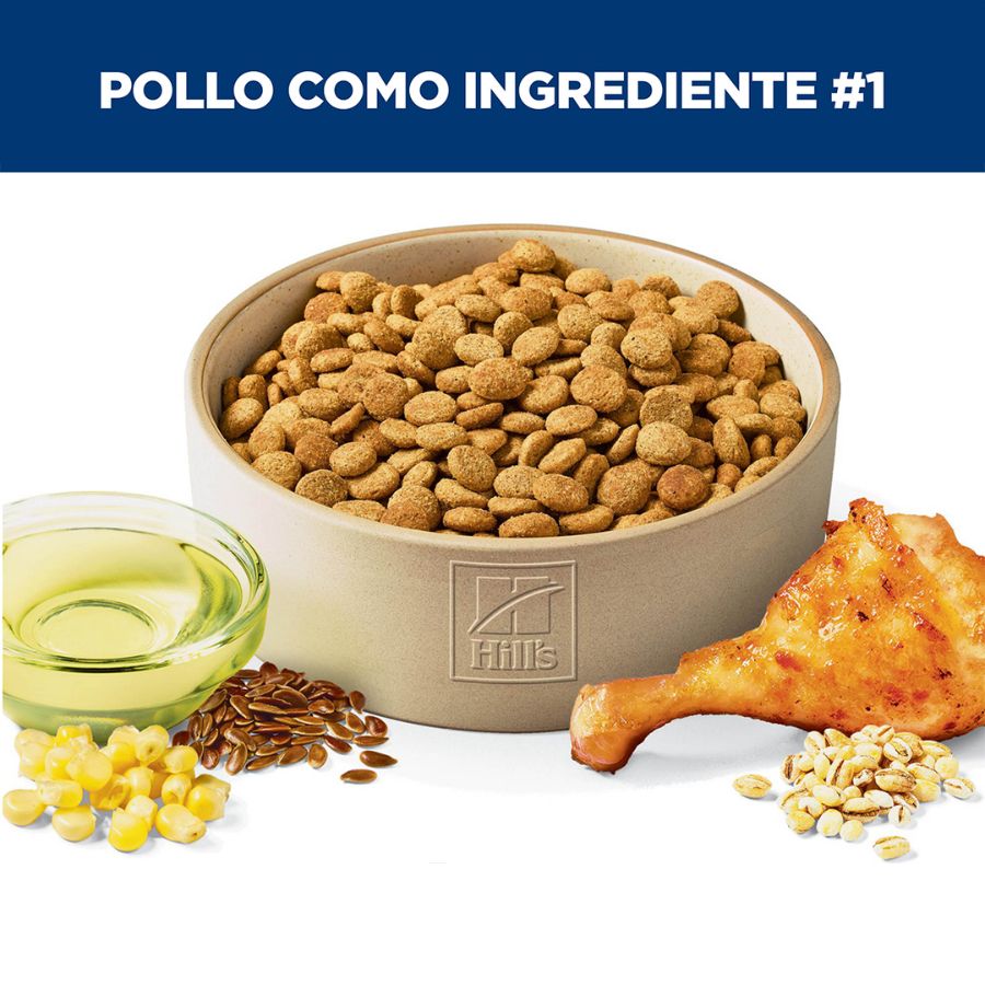 Plato con croquetas Hills Science Diet junto a pollo, aceite, linaza y granos de la receta de pollo y arroz
