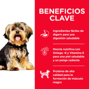 Infografía con los beneficios clave de Science Diet Adult Small & Mini: digestión, piel, pelaje y músculo