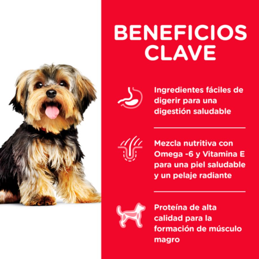 Infografía con los beneficios clave de Science Diet Adult Small & Mini: digestión, piel, pelaje y músculo