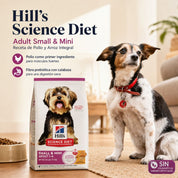 Bolsa de Science Diet Adult Small & Mini junto a un perro pequeño de pelo largo sentado en un living