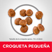Croquetas de Science Diet Adult Small & Mini, de tamaño aproximado 7,5 por 4,5 milímetros, vistas de cerca