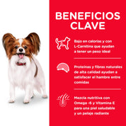 Infografía con los beneficios clave de Science Diet Light Small & Mini: calorías, L-carnitina, saciedad y pelaje