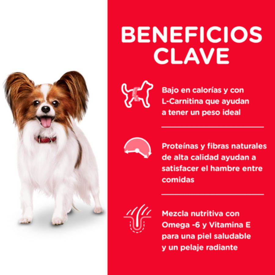Infografía con los beneficios clave de Science Diet Light Small & Mini: calorías, L-carnitina, saciedad y pelaje