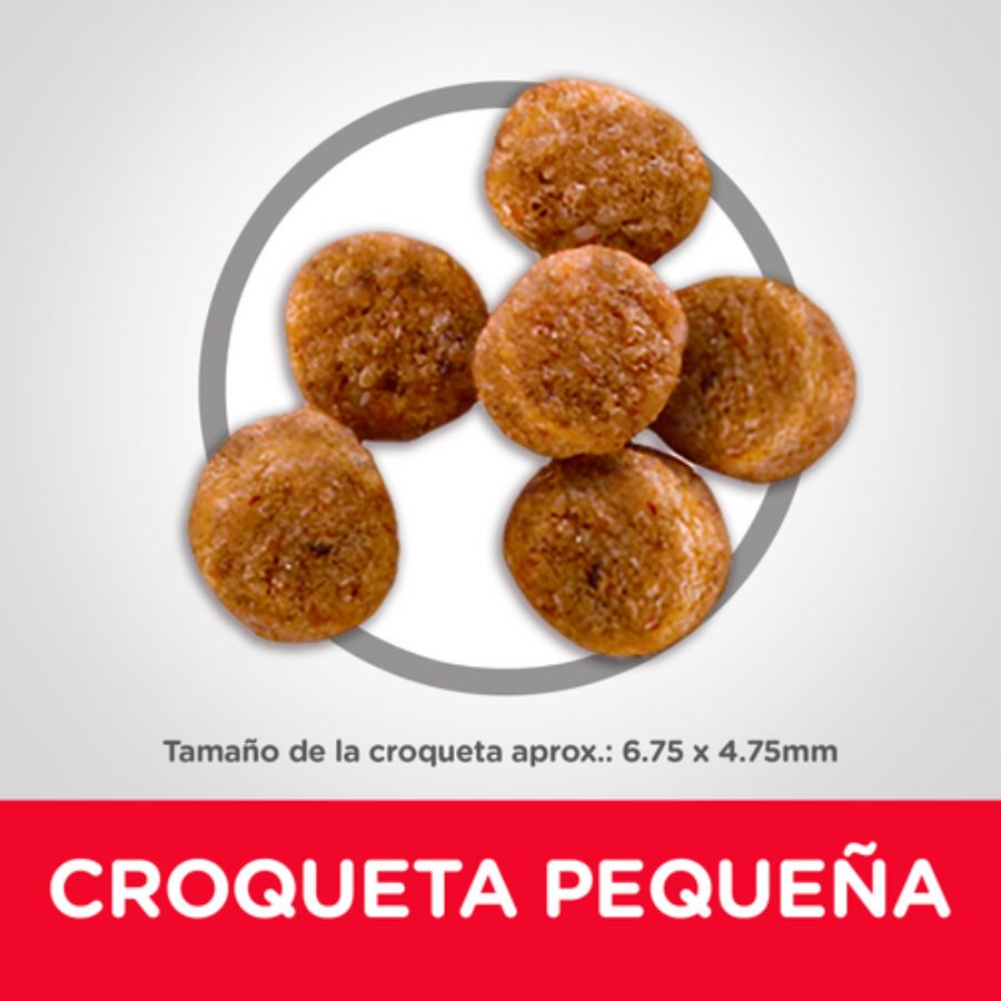 Croquetas de Science Diet Light Small & Mini, de tamaño aproximado 6,75 por 4,75 milímetros, vistas de cerca
