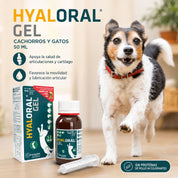 Beneficios de Hyaloral Gel para gatos y cachorros: apoyo a las articulaciones, el cartílago, la movilidad y la lubricación