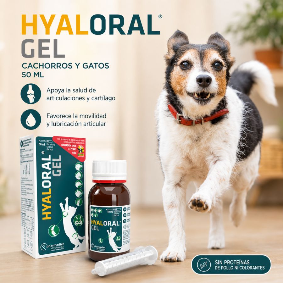 Beneficios de Hyaloral Gel para gatos y cachorros: apoyo a las articulaciones, el cartílago, la movilidad y la lubricación