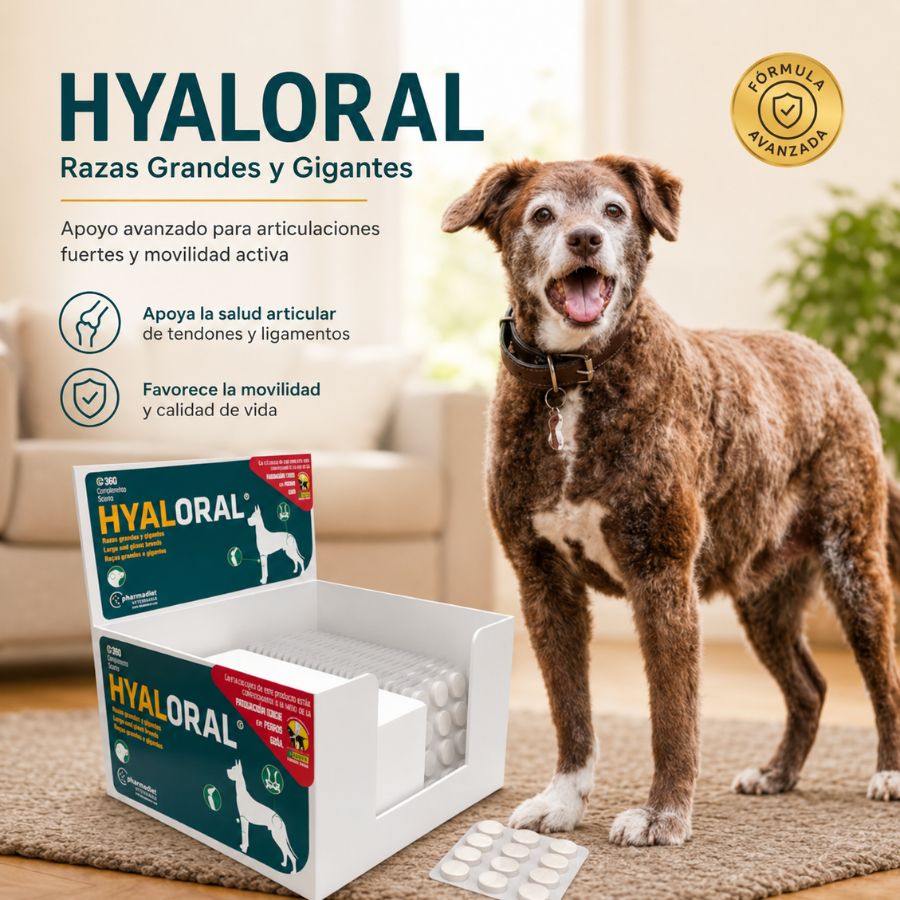 Composición por comprimido de Hyaloral Razas Grandes: colágeno 2.200 mg, glucosamina 313 mg, condroitina 200 mg