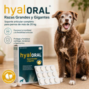 Hyaloral Razas Grandes y Gigantes junto a un perro grande, con su caja de 120 unidades y comprimidos divisibles