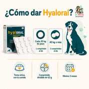 Composición por comprimido de Hyaloral Razas Grandes y Gigantes con colágeno, glucosamina, condroitina y ácido hialurónico