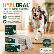 Beneficios de Hyaloral Razas Pequeñas y Medianas: apoyo a la movilidad, la lubricación y el cartílago en perros hasta 20 kg