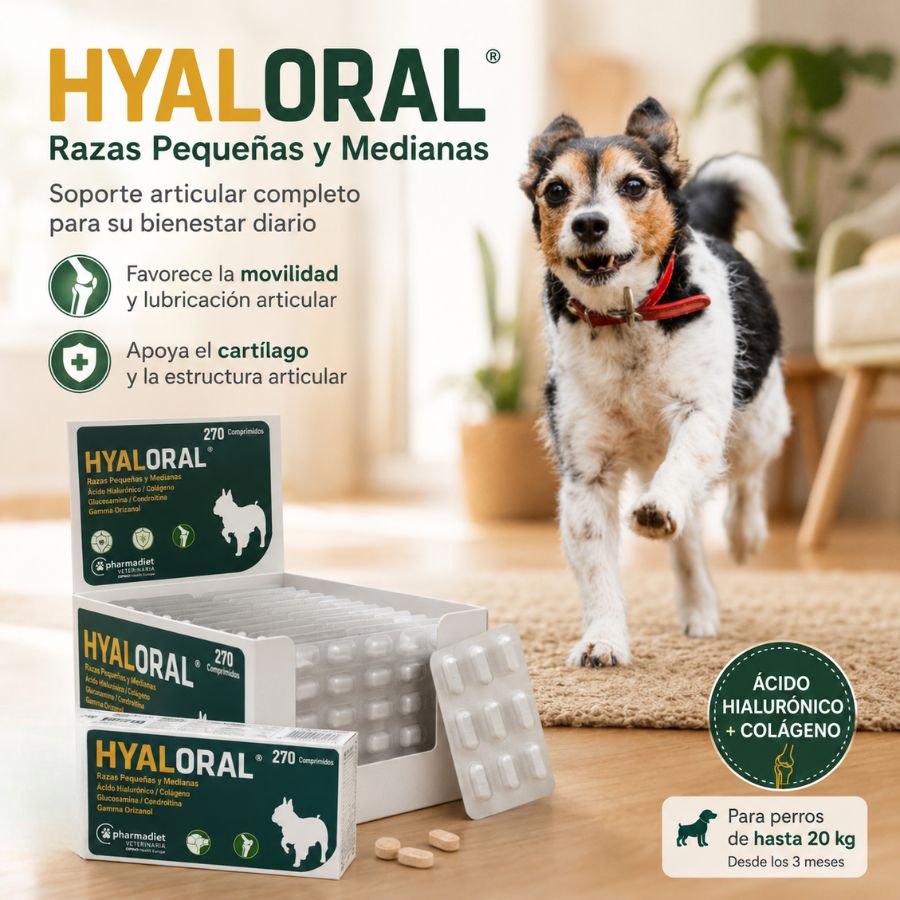 Beneficios de Hyaloral Razas Pequeñas y Medianas: apoyo a la movilidad, la lubricación y el cartílago en perros hasta 20 kg