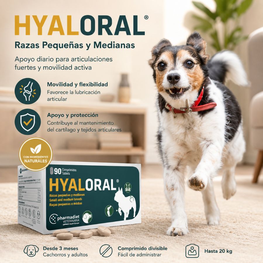 Hyaloral Razas Pequeñas y Medianas, caja de 90 comprimidos divisibles desde 3 meses y hasta 20 kg, suplemento articular
