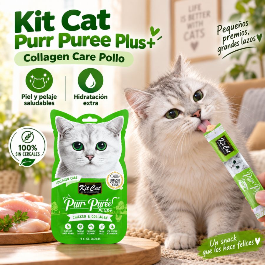 Gato lamiendo un sachet de Kit Cat Purr Puree Plus Collagen Care Pollo junto a íconos de beneficios
