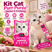 Gato lamiendo un sachet de Kit Cat Purr Puree Plus Urinary Care Pollo junto a íconos de taurina, prebiótico y libre de granos