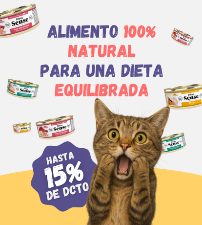 latas_dibaq_sense.png