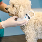 lectura microchip de mascotas en bpets.cl