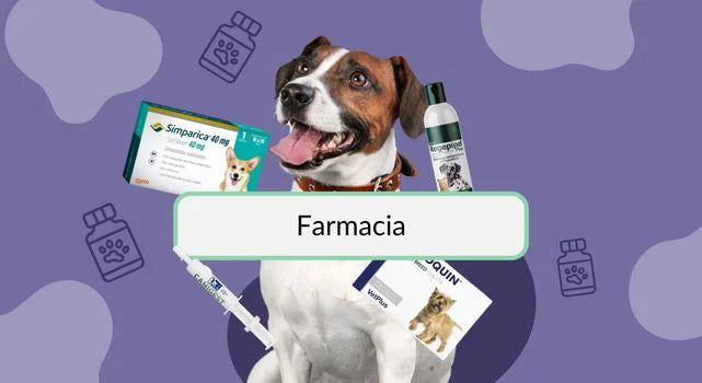 medicamentos para perros bpets.cl