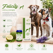 Medvetarom Felicity 5ML aceite esencial natural para perros y gatos, energiza el ambiente y promueve bienestar emocional.