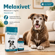 Beneficios de Meloxivet: control del dolor e inflamación articular y acción preferente COX-2 en perros