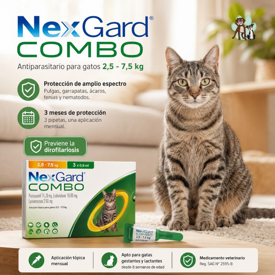 Beneficios de NexGard Combo en gatos: amplio espectro contra pulgas, garrapatas y gusanos, y 3 meses de protección